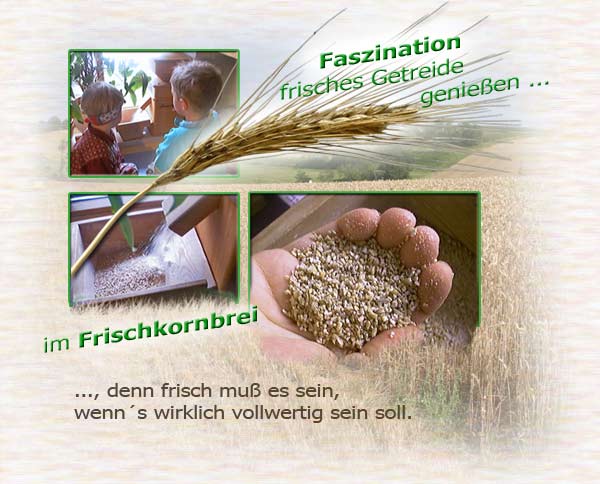 Vom vollen Korn zum Frischkornbrei und wahrem Bio-Müsli